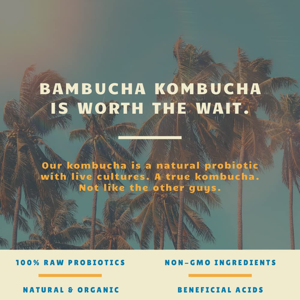 organic-bambucha-kombucha-variety-pack---12-fl-oz-cans-chef-crafted-flavors-raw-live-cultured-tea-drink-vegan-gluten-free-non-gmo-probiotic---case-of-12-3