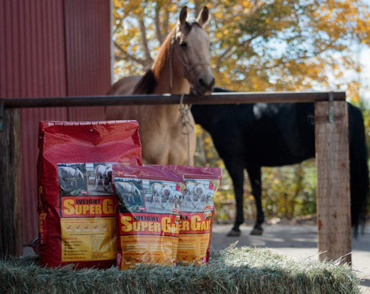 Equine Vitamin Mineral & Probiotic Weight Gain Supplement - 40 lb Horse Guard Super Weight Gain - Espot.com.au