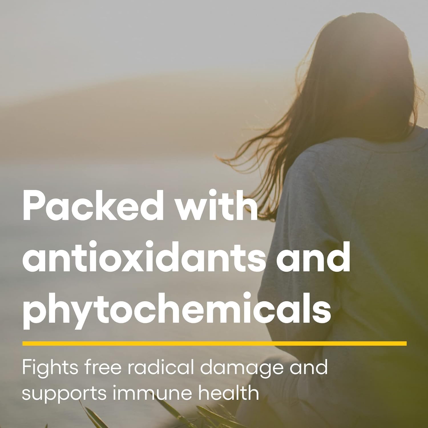 Certified Organic Oil of Oregano - Herbal Immune Support Supplement, Vegan, Non-GMO (2 Oz) by Natural Factors - Espot.com.au