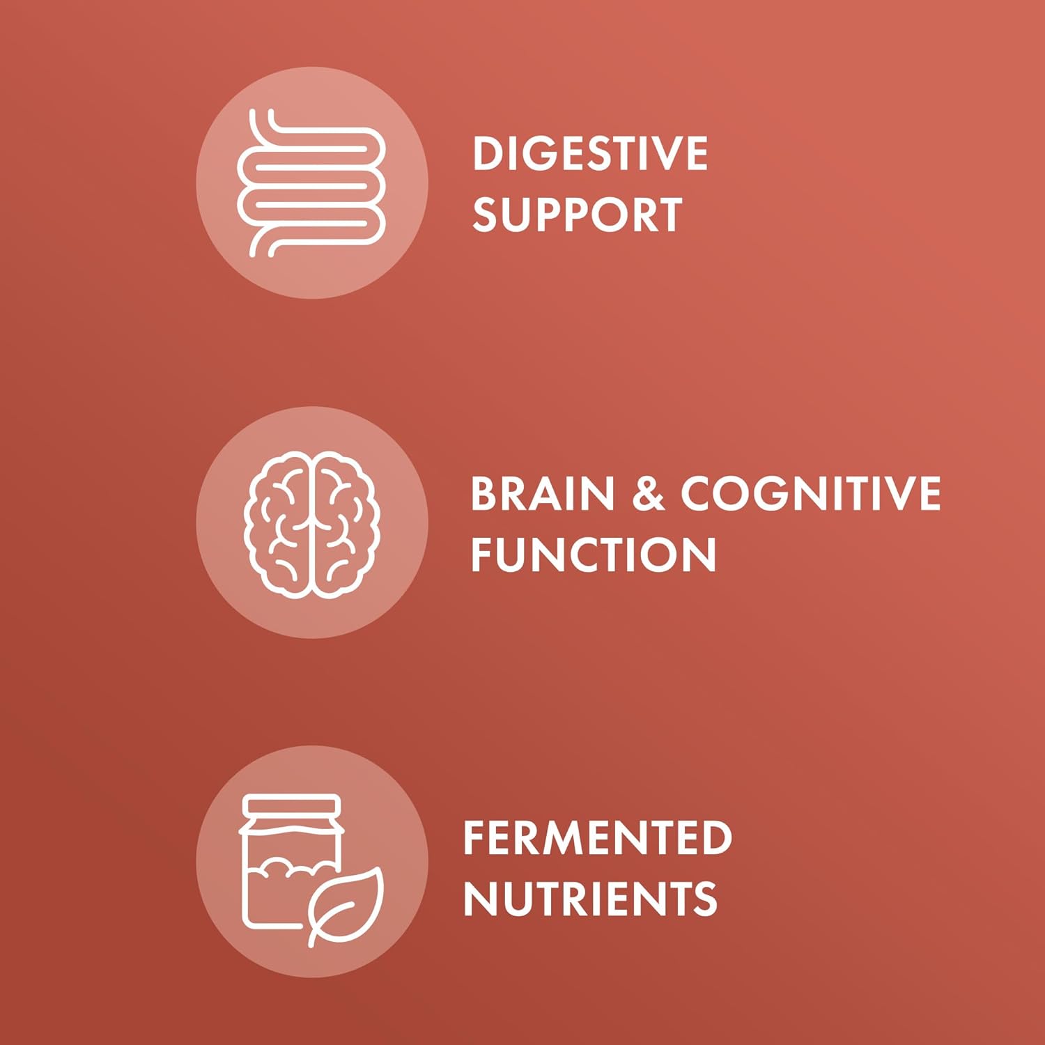 organic-fermented-cinnamon-tablets---1000mg-30-servings-non-gmo-usda-organic-biodynamic-certified-3