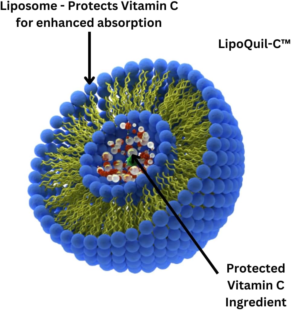 high-potency-liposomal-vitamin-c-supplement-for-enhanced-absorption-240-capsules-total-immune-support-and-collagen-booster-non-gmo-formula-with-lipoquil-c-1000mg-buffered-fat-soluble-vita-c-2