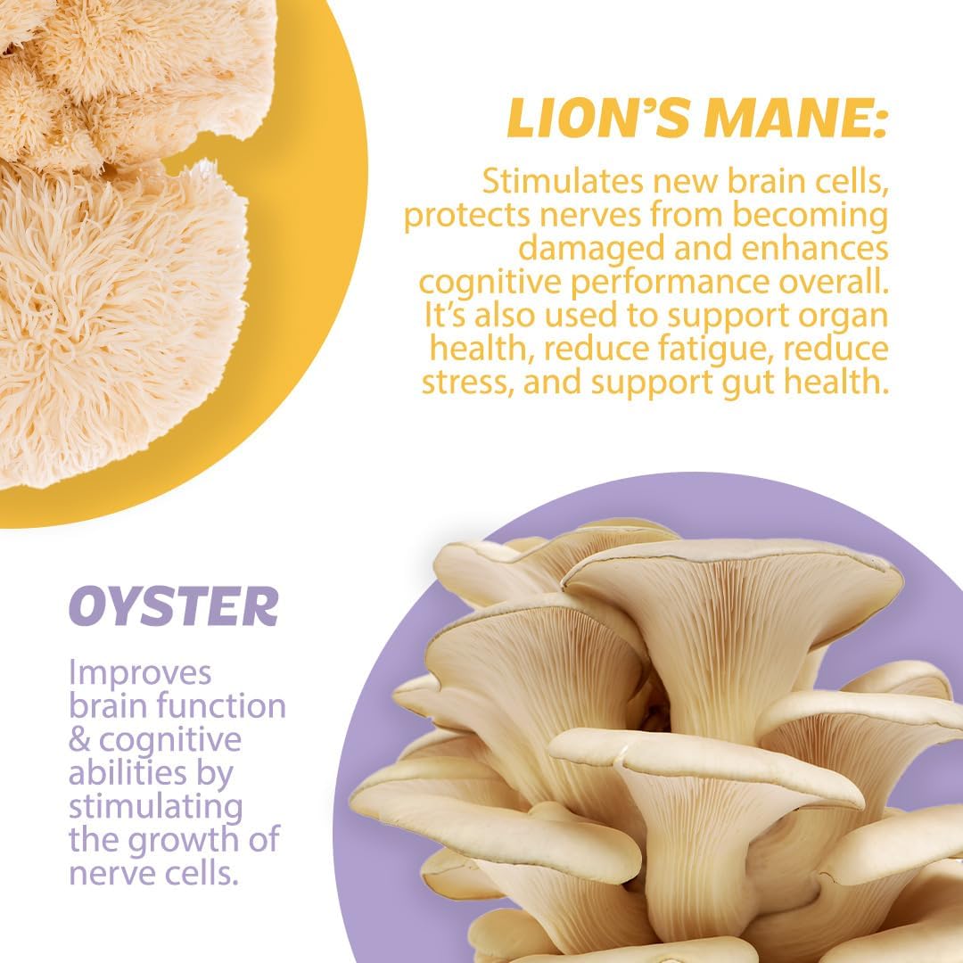 silver-star-nutrition-nootropic-brain-supplement-with-lions-mane-cordyceps-reishi-mushrooms-and-extended-release-caffeine---strawberry-watermelon-spicy-pineapple-flavor---100-servings-5
