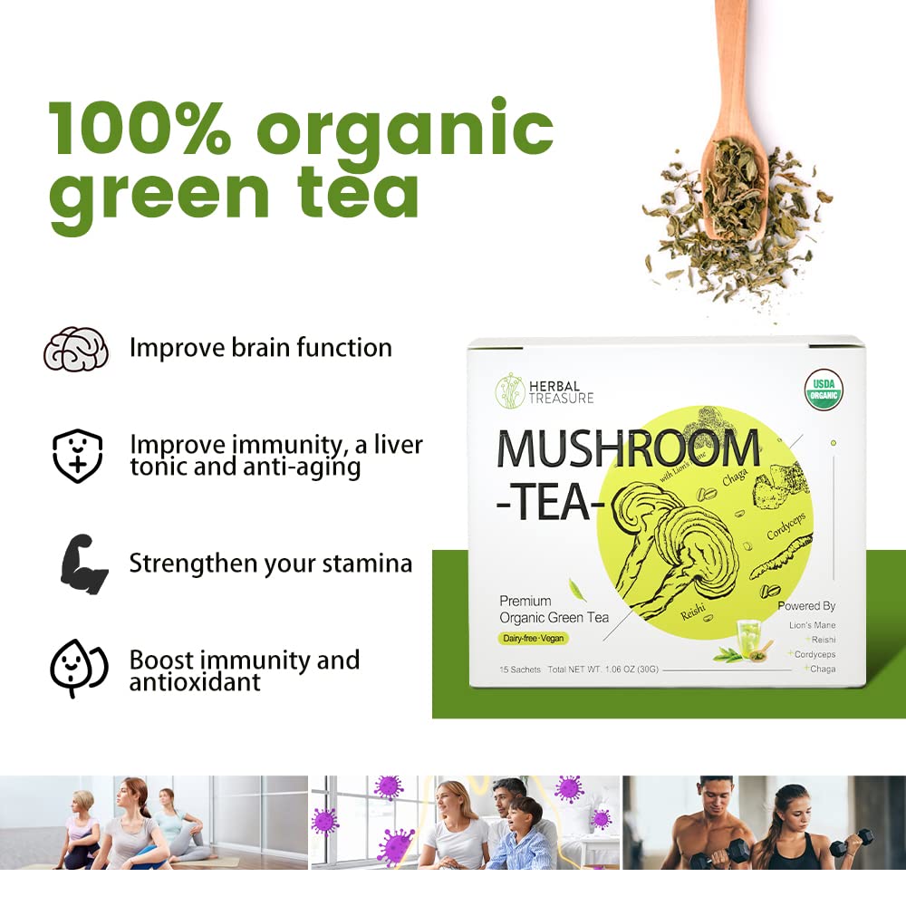 herbal-treasure-mushroom-green-tea-blend-with-lions-mane-reishi-cordyceps-and-chaga---15-tea-bags-4