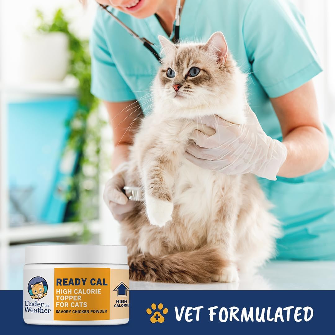 high-calorie-cat-weight-gainer-powder-appetite-stimulant-energy-booster-under-the-weather-ready-cal-supplement-8-oz-3