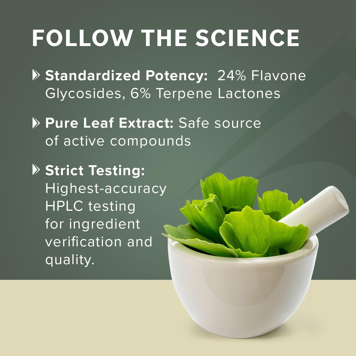 ginkgo-biloba-leaf-extract-120mg---memory-focus-support-with-herbal-supplements---vegan-non-gmo-gluten-free---60-day-supply-3