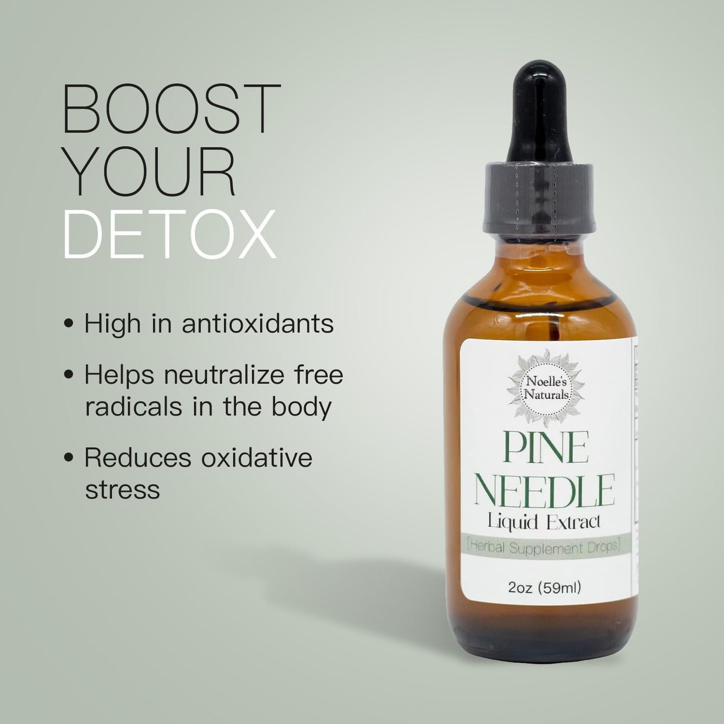 organic-pine-needle-extract---wildcrafted-eastern-white-pine---high-shikimic-acid---immune-support-tincture-4