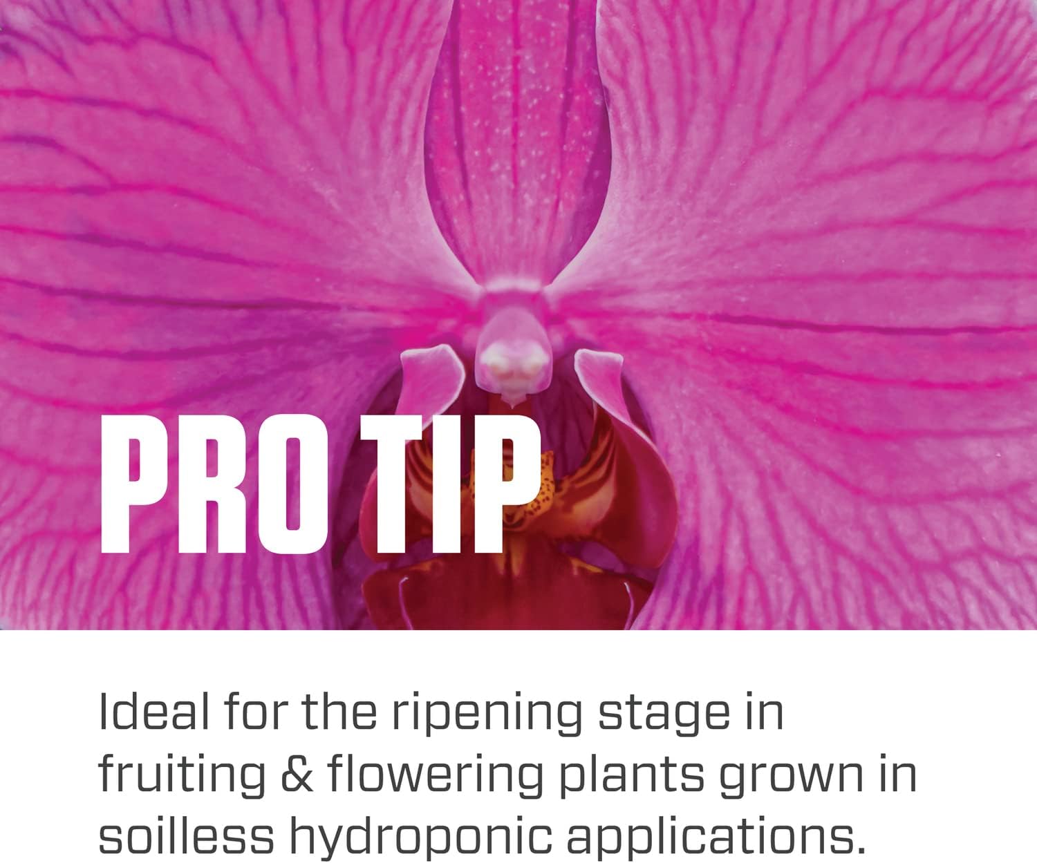 Botanicare Pure Blend Pro Bloom Soil Nutrient 1 qt - Ideal for Fruit & Flowers - 1-4-5 Formula - Espot.com.au