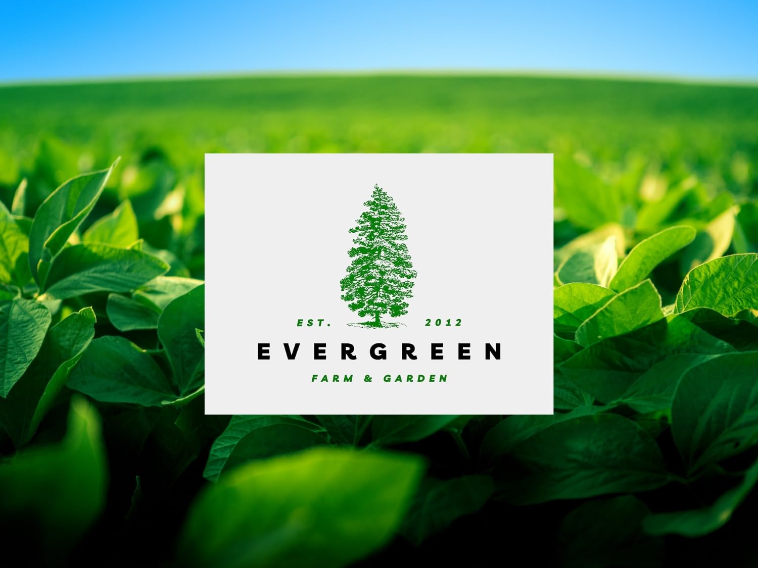 50-lb-bundle-yara-liva-calcium-nitrate-greenhouse-grade-by-evergreen-farm-garden---high-quality-fertilizer-for-greenhouse-use-6