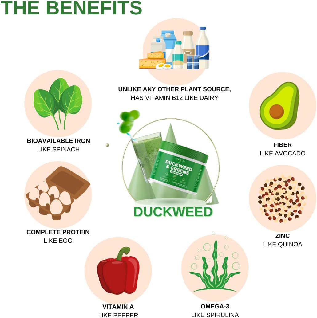 organic-duckweed-greens-smoothie-mix-with-kale-spinach-broccoli---superfood-digestive-health-fiber-supplement-from-wolffia-globosa-3