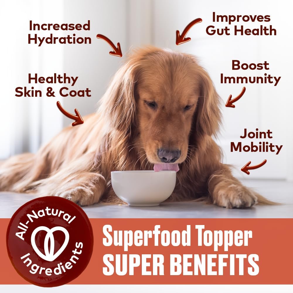 furvor-beef-bone-broth-for-dogs---collagen-protein-supplement-for-digestion-mobility-coat---made-in-usa---16-oz-4