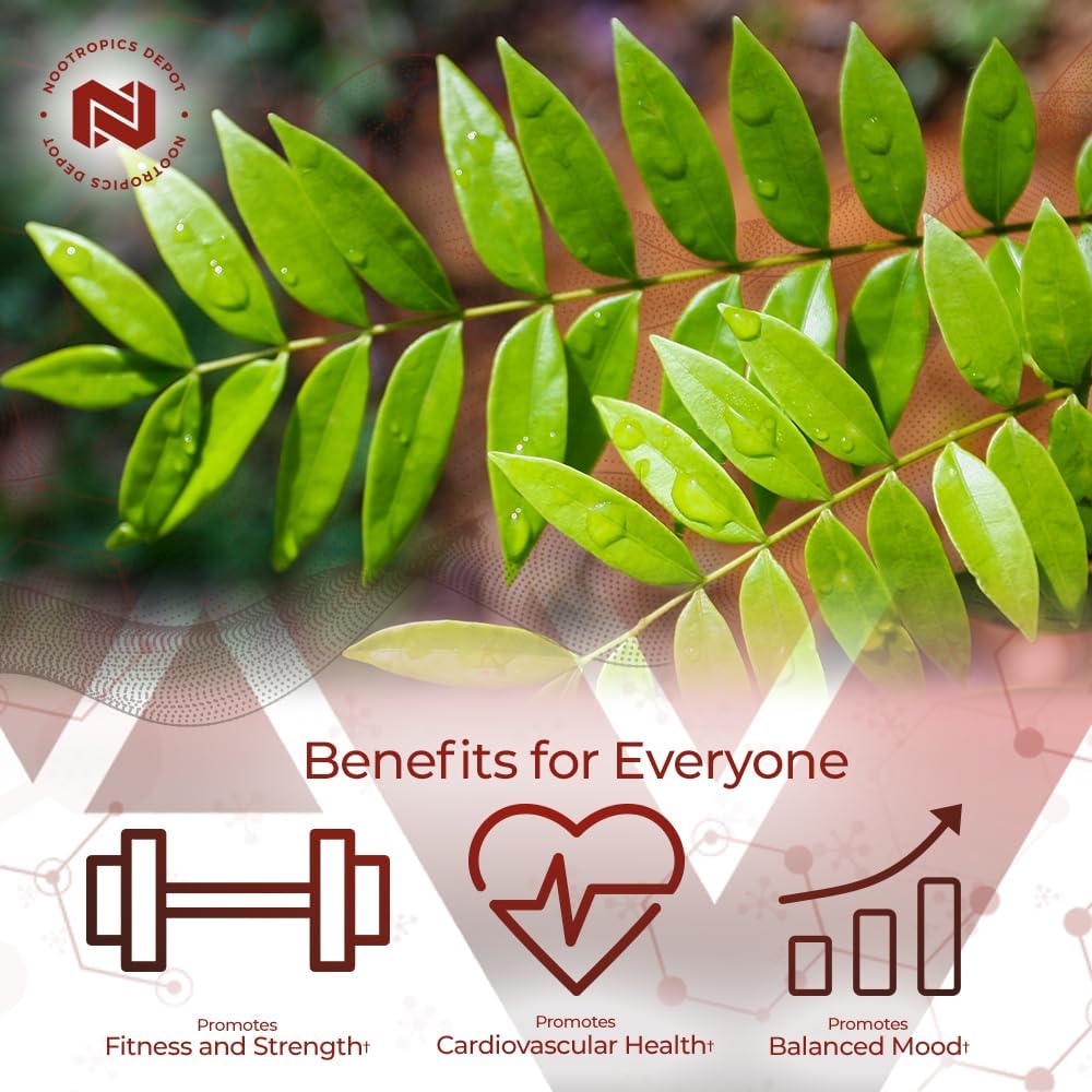 tongkat-ali-extract-capsules-100mg-60-count-high-eurycomanone-eurycoma-longifolia-root-extract-3
