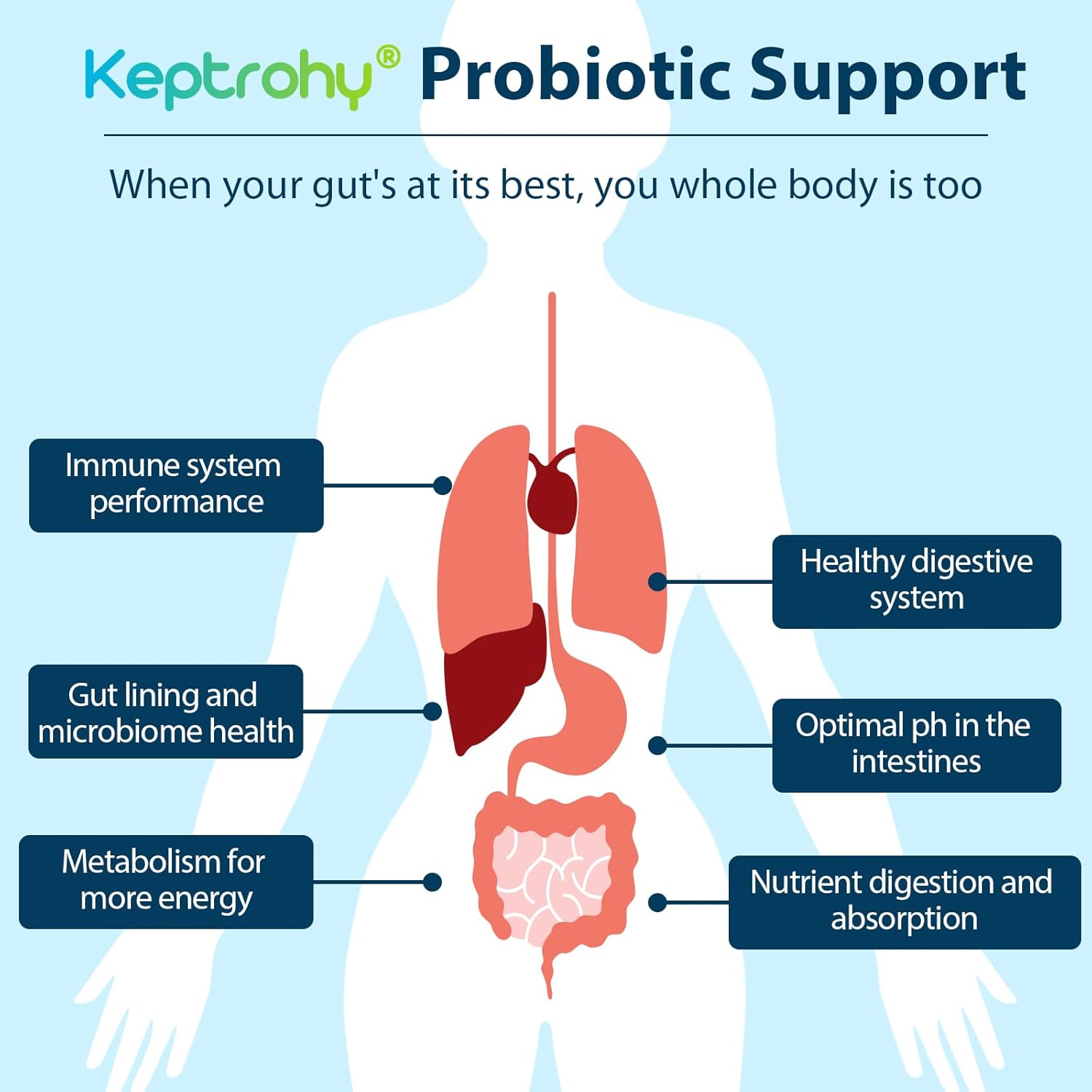 300-billion-cfu-probiotics-organic-prebiotics-blend-for-digestive-health---120-capsules-3