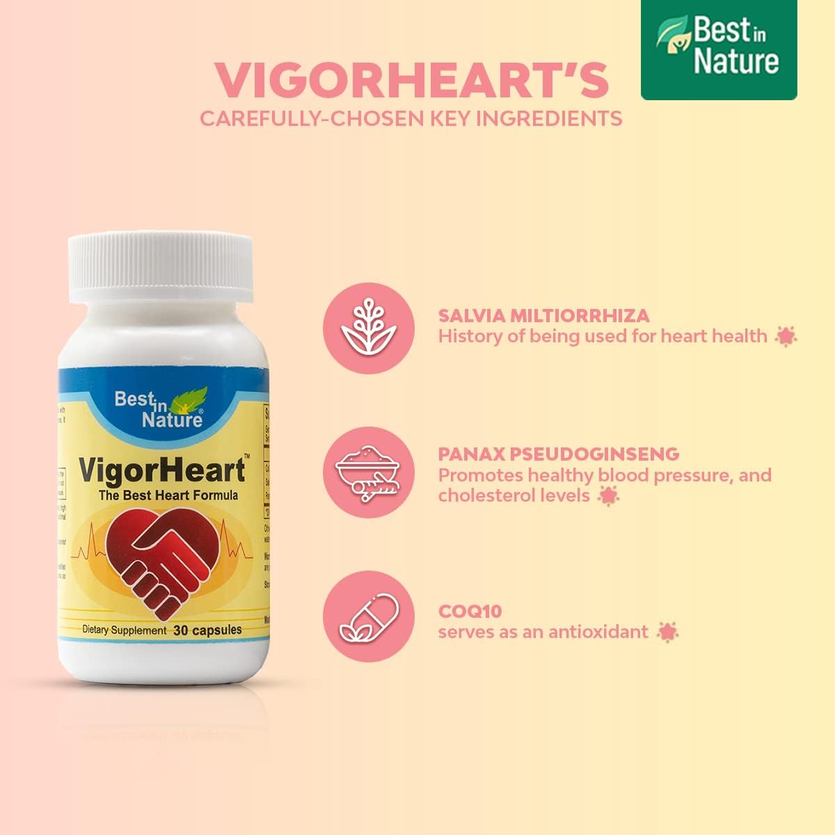 natural-heart-health-supplements-with-coq-10-salvia-miltiorrhiza-and-panax-pseudoginseng-30-capsules---boost-heart-health-with-vigorheart-4