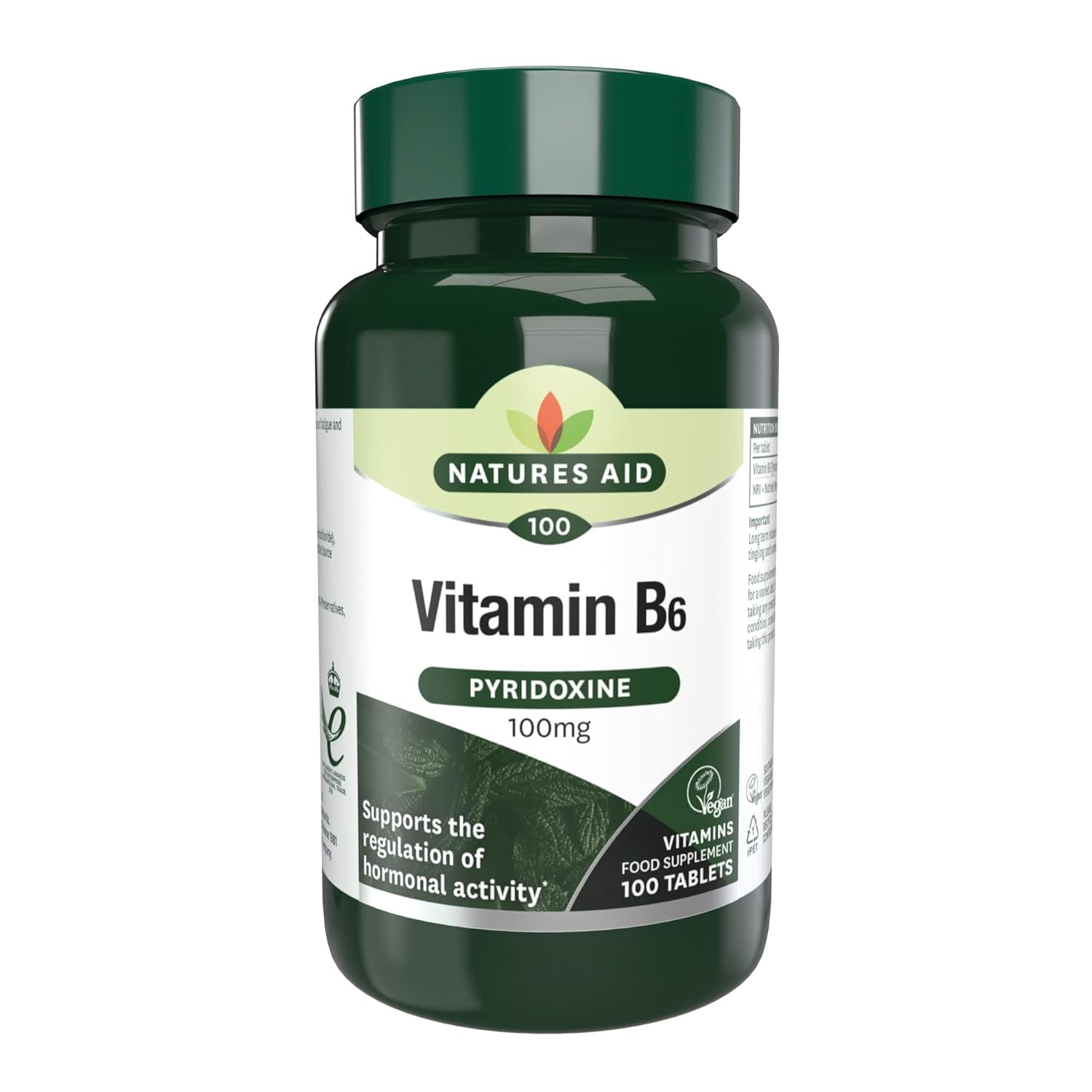 100mg-natures-aid-vitamin-b6-supplement-for-energy-support-and-metabolism-boost-1