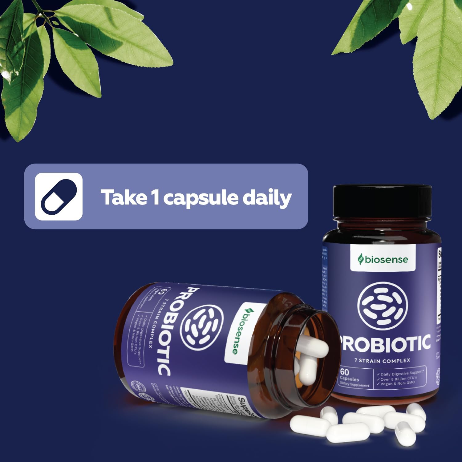 Advanced Acidophilus Probiotic Supplement for Gut Health - Daily Probiotic Immune Support for pH Balance and Digestive Relief - Bio Sense Probiotics with Prebiotics for Upset Stomach - Espot.com.au