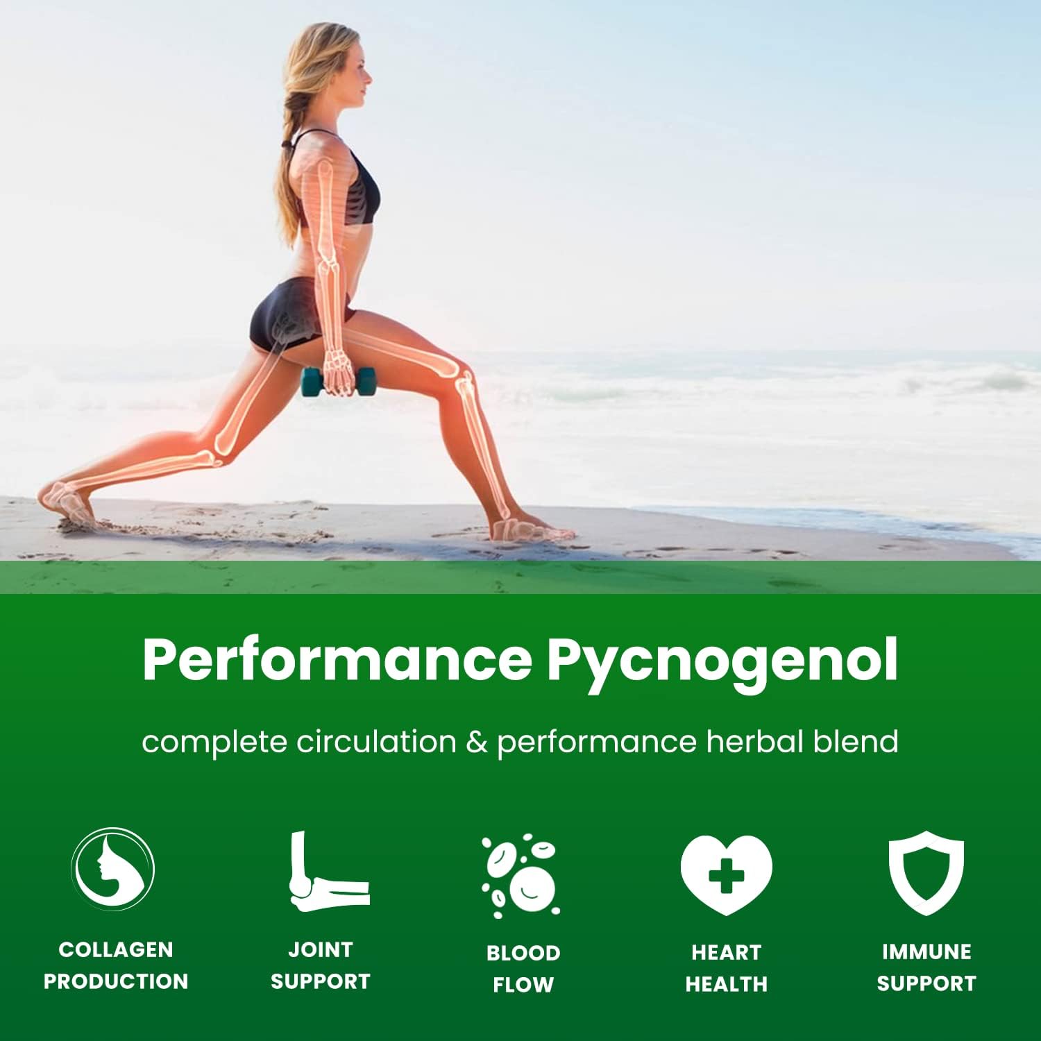 pycnogenol-french-maritime-pine-bark-extract-capsules-circulation-support-with-black-pepper-extract-enhanced-blood-flow-nitric-oxide-vegan-non-gmo-60-count-5