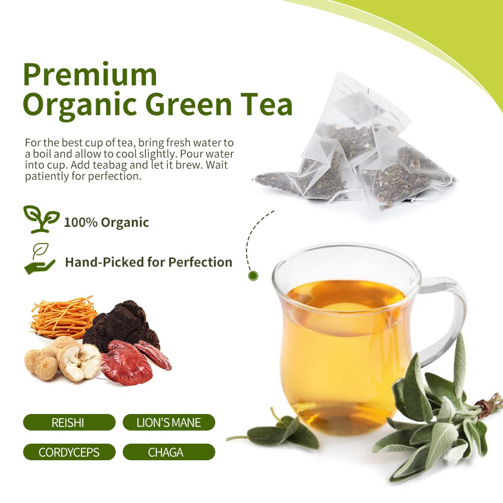 herbal-treasure-mushroom-green-tea-blend-with-lions-mane-reishi-cordyceps-and-chaga---15-tea-bags-3