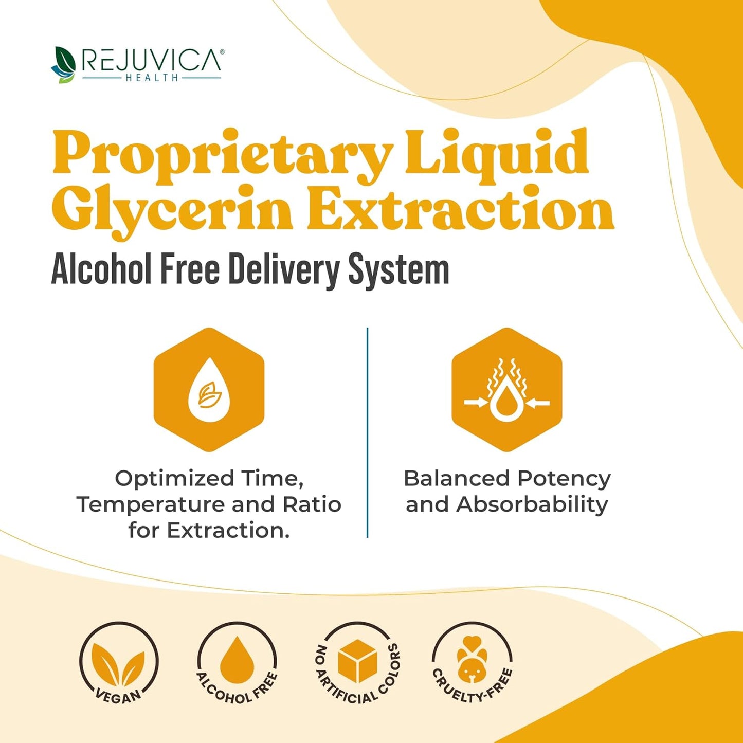 turmeric-root-extract-with-natural-curcumin-for-joint-health---liquid-formula-for-optimal-absorption---rejuvica-health-healthy-essentials-7