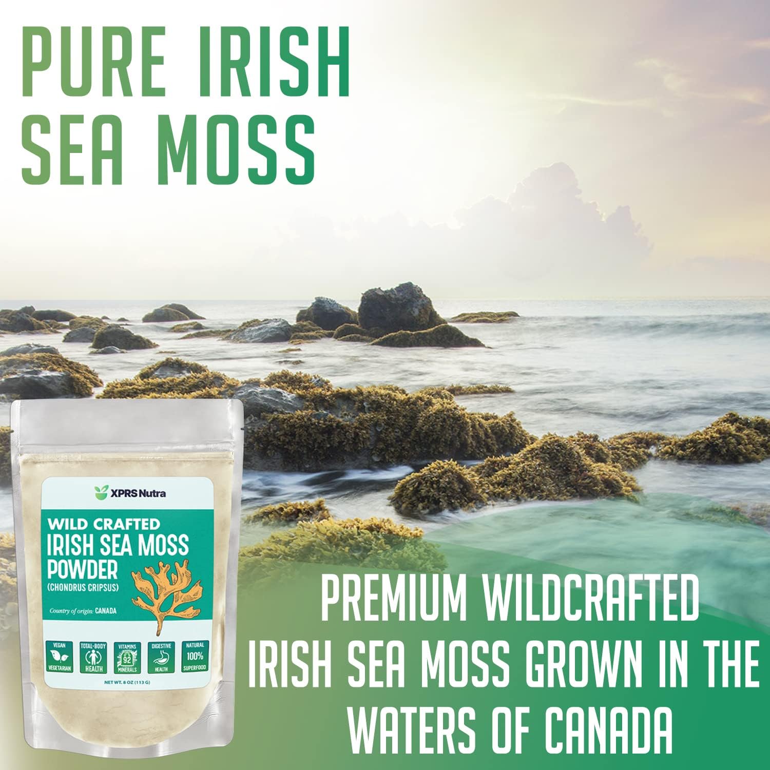 premium-wildcrafted-irish-sea-moss-powder-for-glowing-skin-total-body-health---vegan-friendly-seamoss-drink-powder-16-oz-2