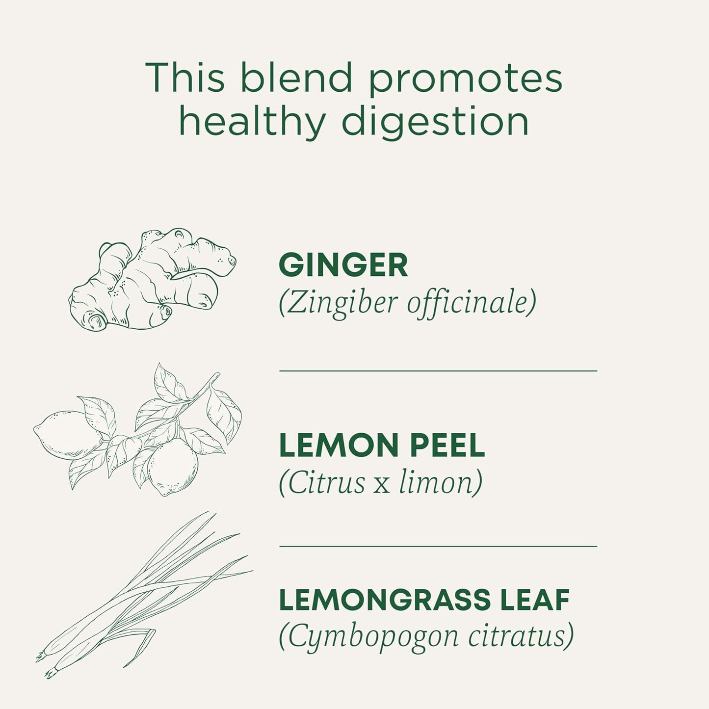organic-lemon-ginger-herbal-tea-by-traditional-medicinals---16-count-x-6-packs-for-healthy-digestion-2