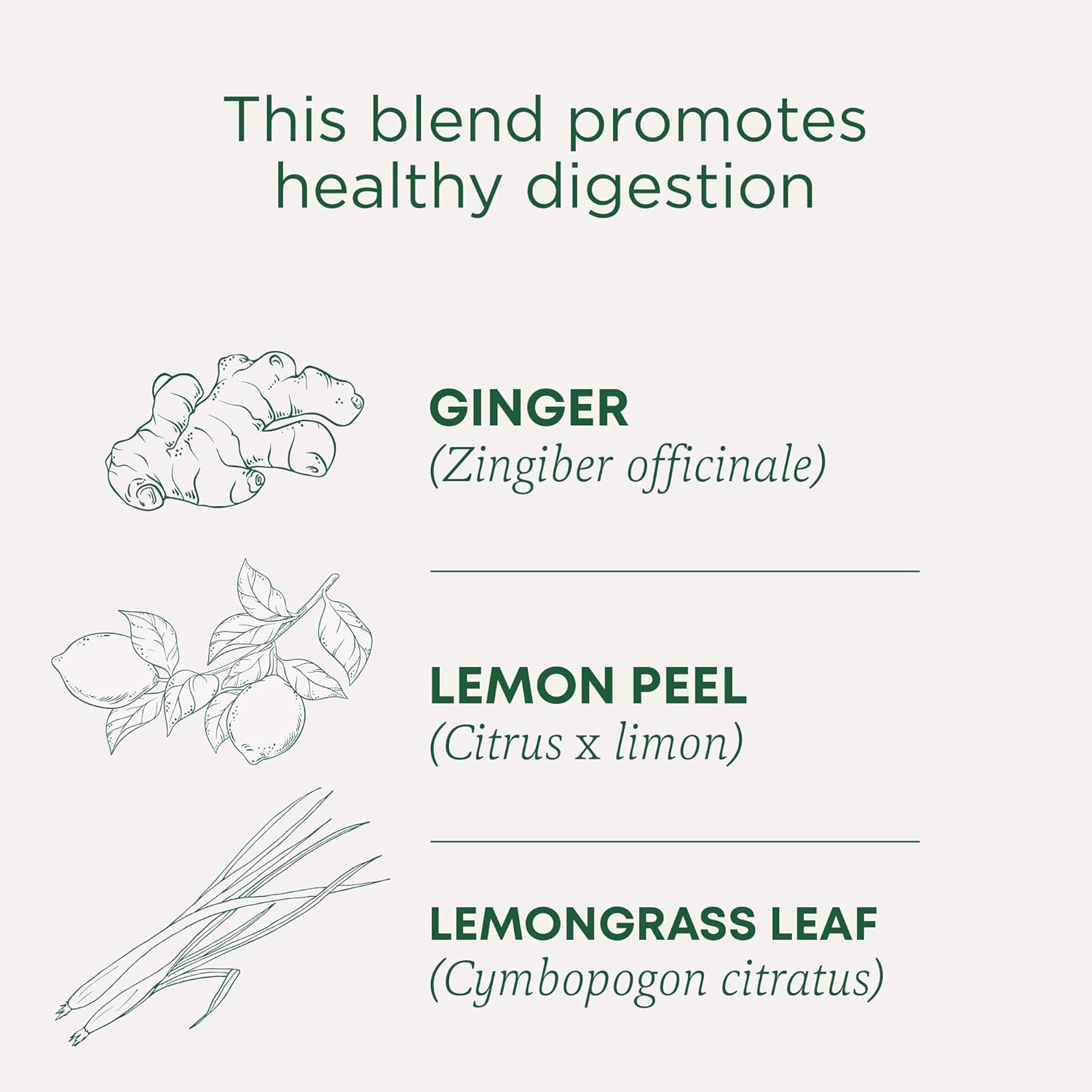 organic-lemon-ginger-herbal-tea-by-traditional-medicinals---16-count-x-6-packs-for-healthy-digestion-2