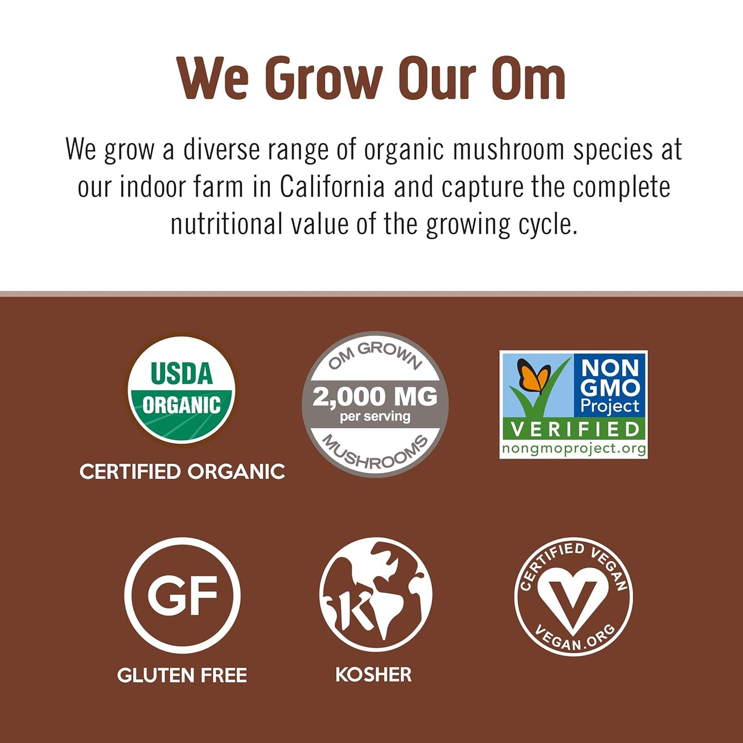 organic-mushroom-superfood-coffee-blend-powder-10-single-serve-packets-with-arabica-beans-lions-mane-cordyceps-turkey-tail-reishi-extract-ginkgo-biloba-for-energy-and-focus-7