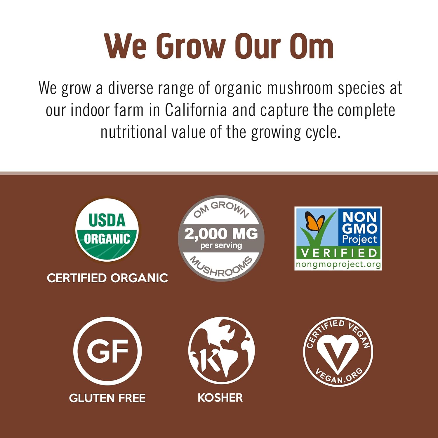 organic-mushroom-superfood-coffee-blend-powder-10-single-serve-packets-with-arabica-beans-lions-mane-cordyceps-turkey-tail-reishi-extract-ginkgo-biloba-for-energy-and-focus-7