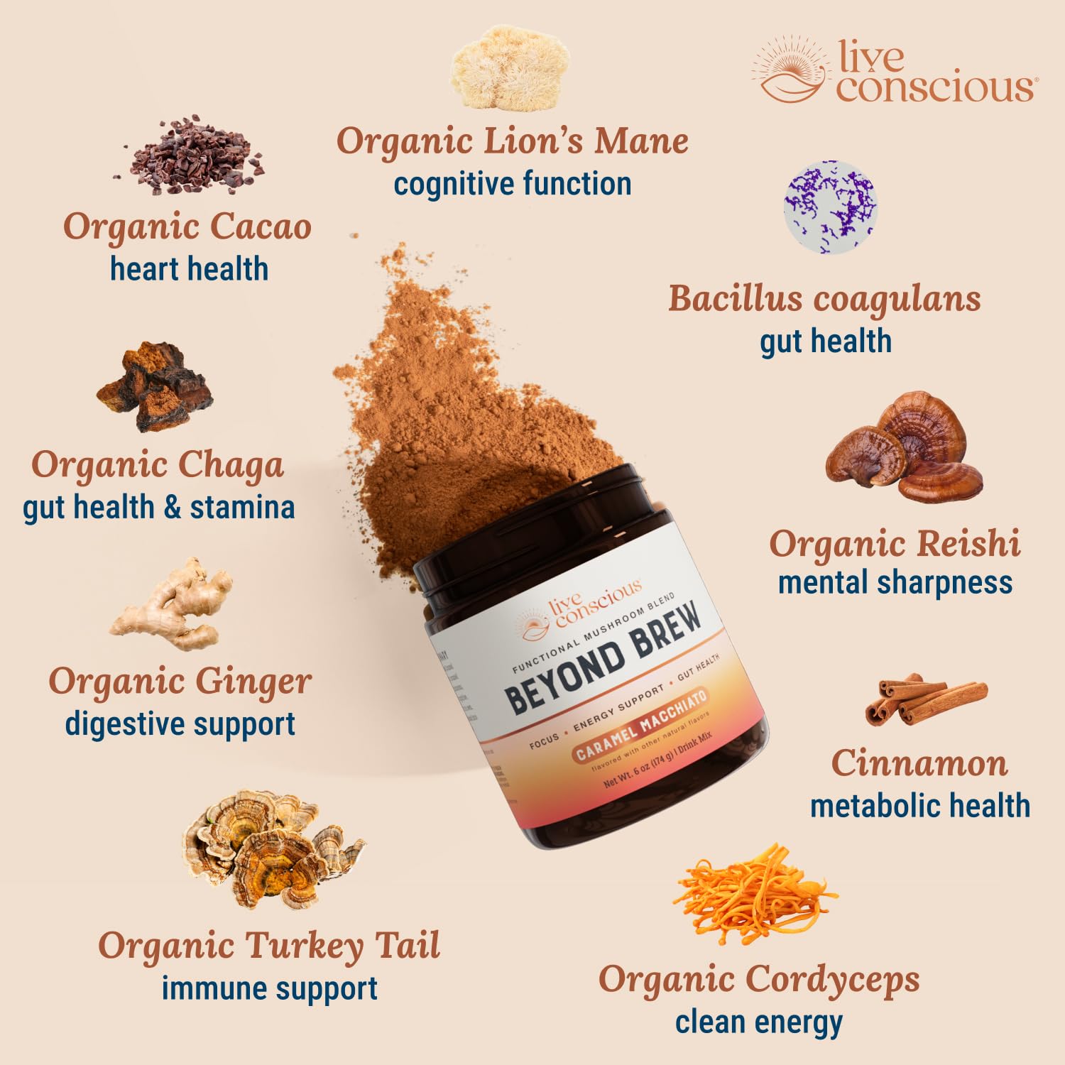 organic-caramel-macchiato-coffee-alternative-with-mushroom-complex-prebiotics-probiotics---low-caffeine-superfood-drink-2-pack-5