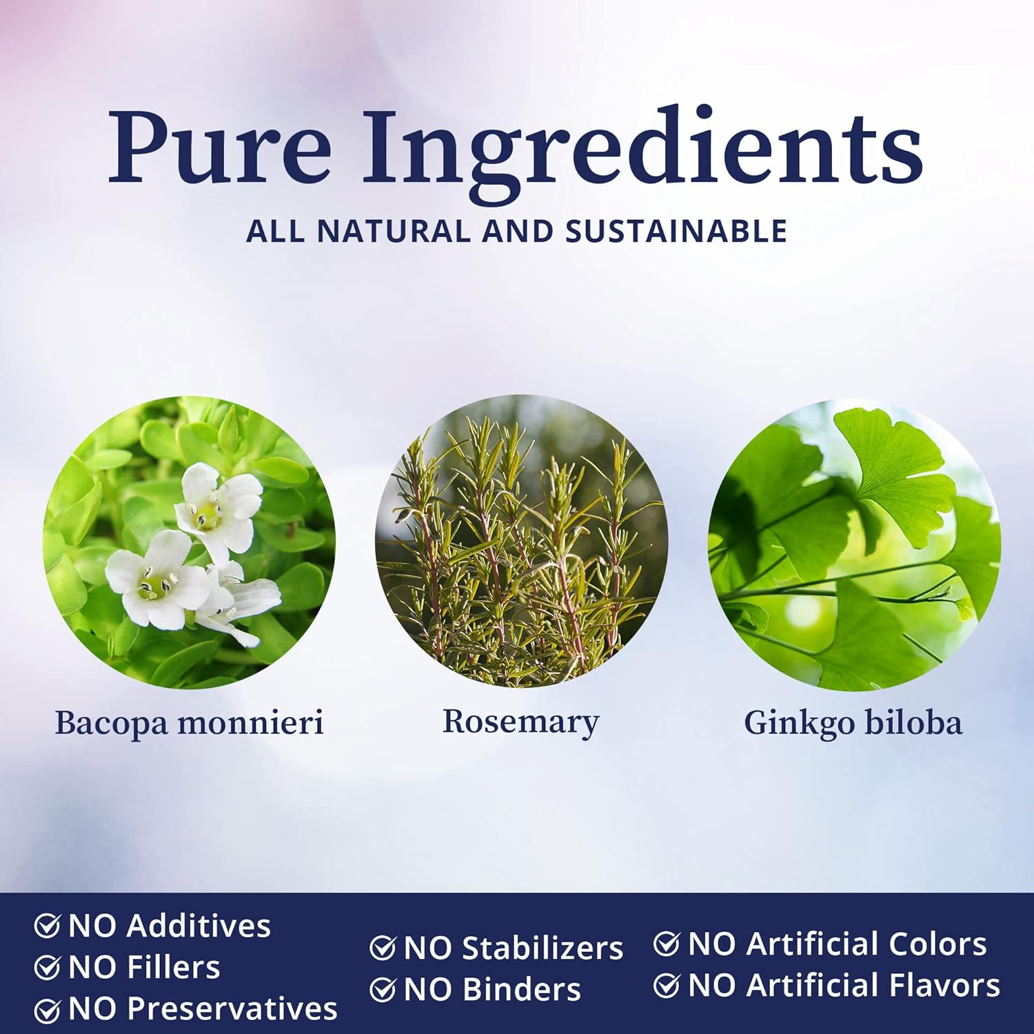 natural-herbal-brain-tincture-with-ginkgo-biloba-rosemary-bacopa---mental-clarity-memory-focus---2-fl-oz-3