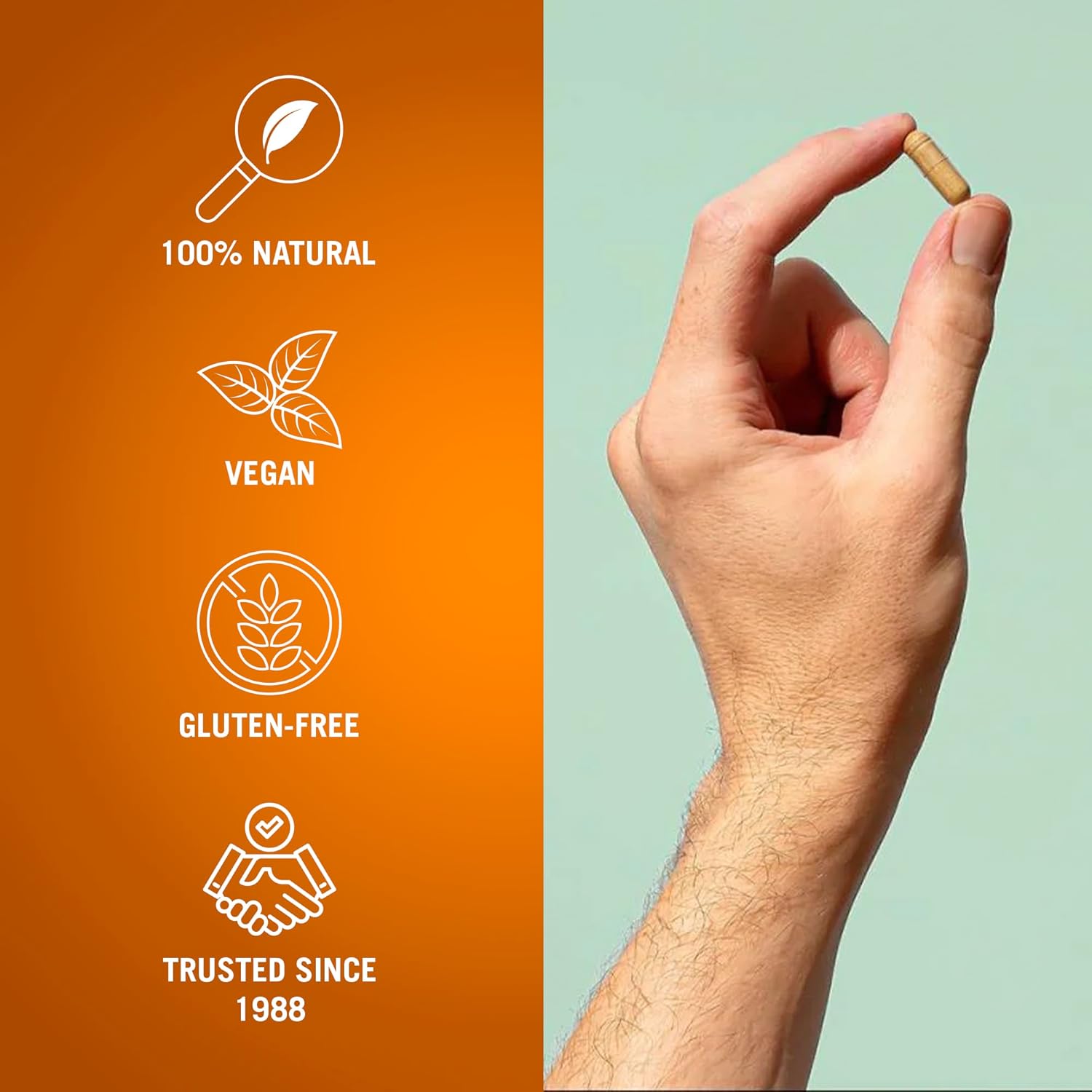 century-systems-the-cleaner-detox-for-women---14-day-internal-cleanse---supports-digestive-health---104-vegetarian-capsules-5