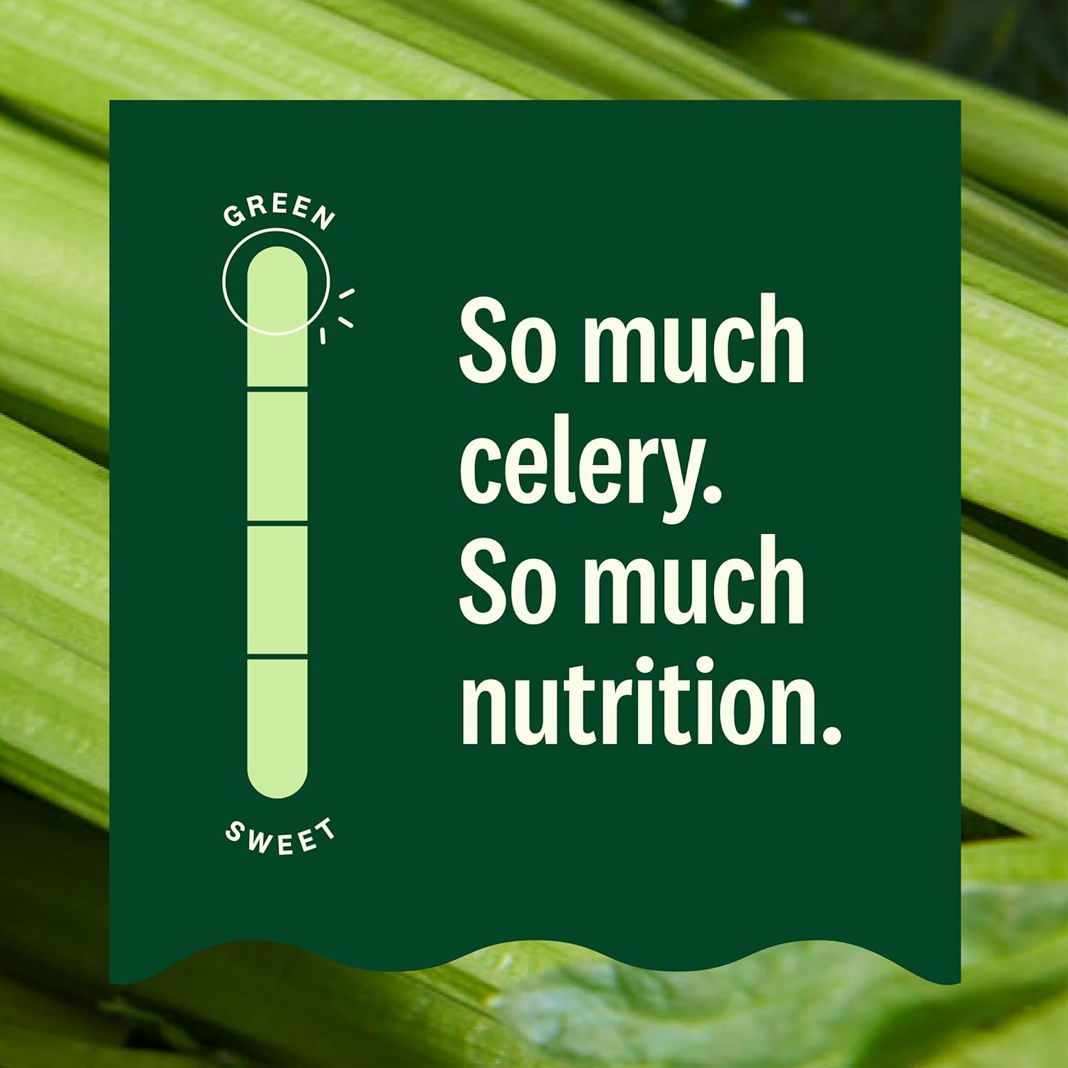 organic-cold-pressed-celery-juice-by-suja---12-fl-oz-bottle-6