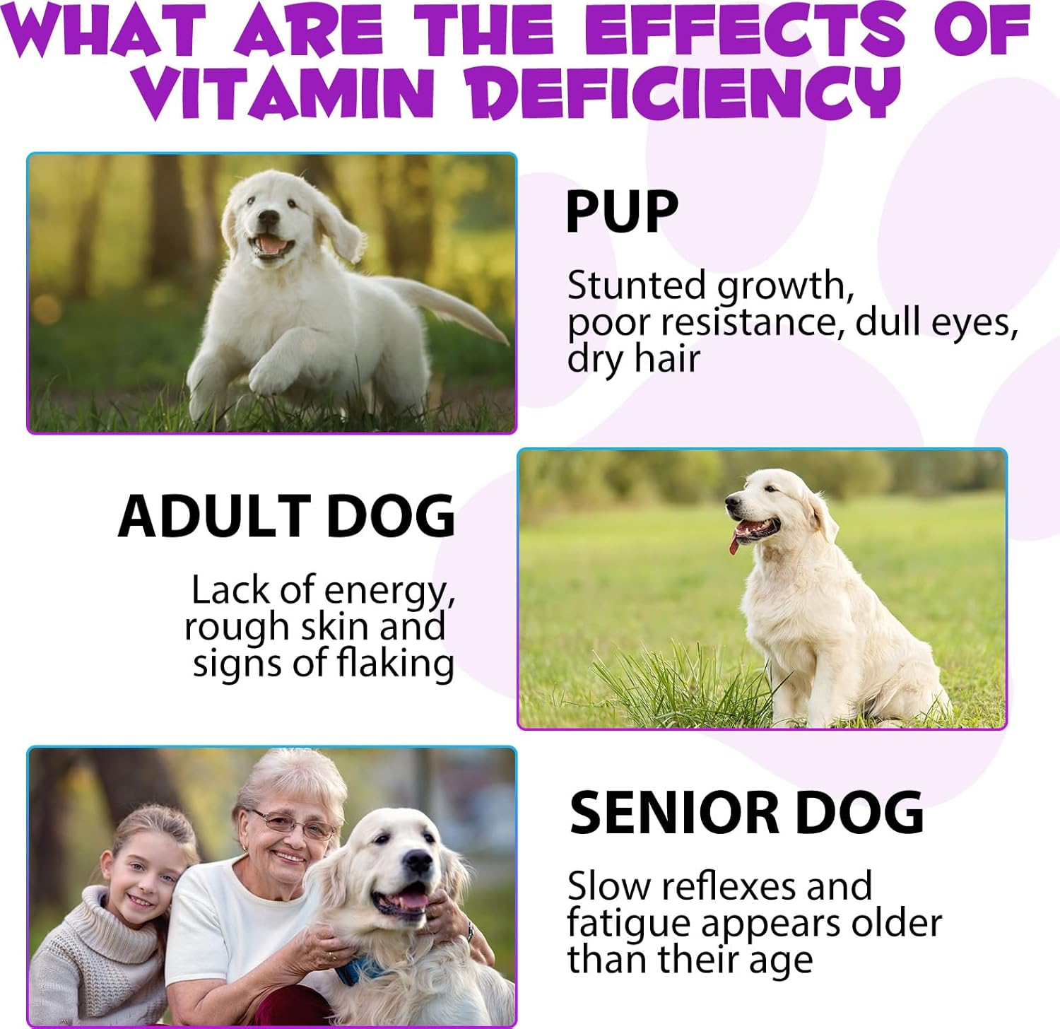 onznoz-dog-multivitamin-liquid---15-in-1-formula-for-skin-coat-heart-bones-joints---pet-supplements-for-health-wellness---2-fl-oz-6