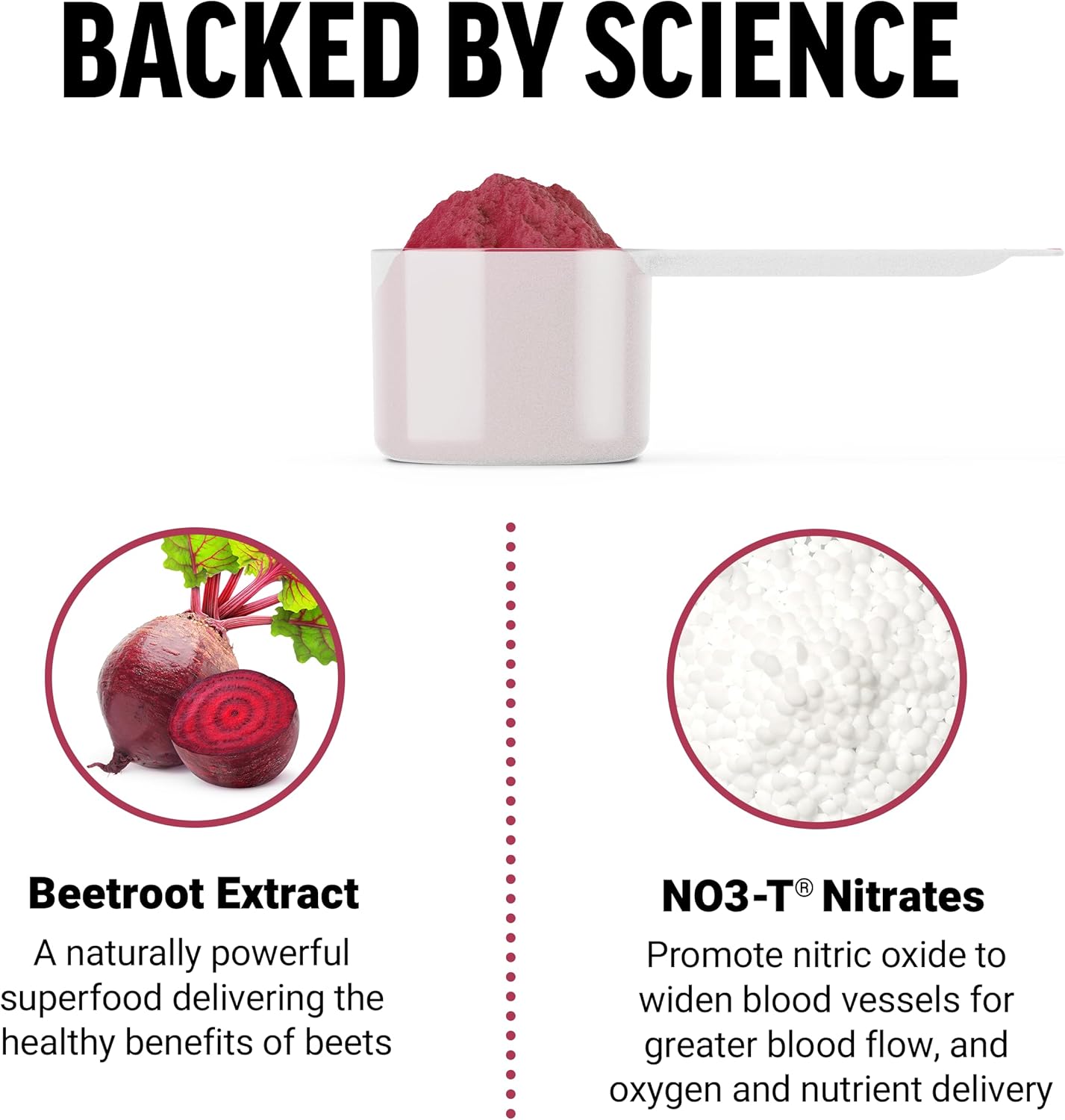 total-beets-nitric-oxide-powder-with-turmeric-curcumin-for-circulation-joint-support-4