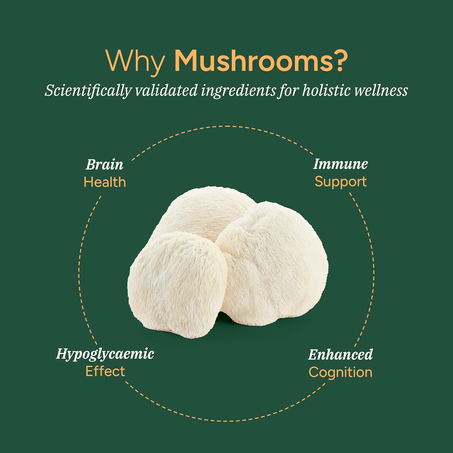 organic-mushroom-gummies---lions-mane-reishi-cordyceps---immune-brain-support---non-gmo-no-sugar---60-gummy-300mg---root-labs-2