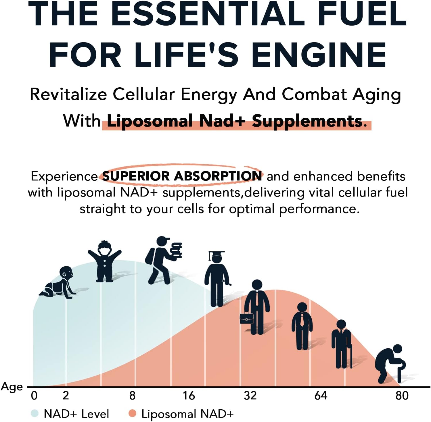 fabamax-liposomal-nad-supplement-1600mg---98-pure-nad-for-aging-defense-energy---high-absorption-alternative-to-nadh---60-softgels-for-longevity-vitality-3