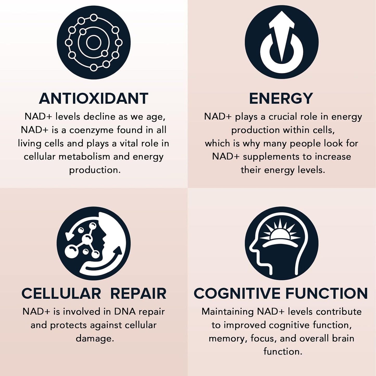 fabamax-liposomal-nad-supplement-1600mg---98-pure-nad-for-aging-defense-energy---high-absorption-alternative-to-nadh---60-softgels-for-longevity-vitality-5
