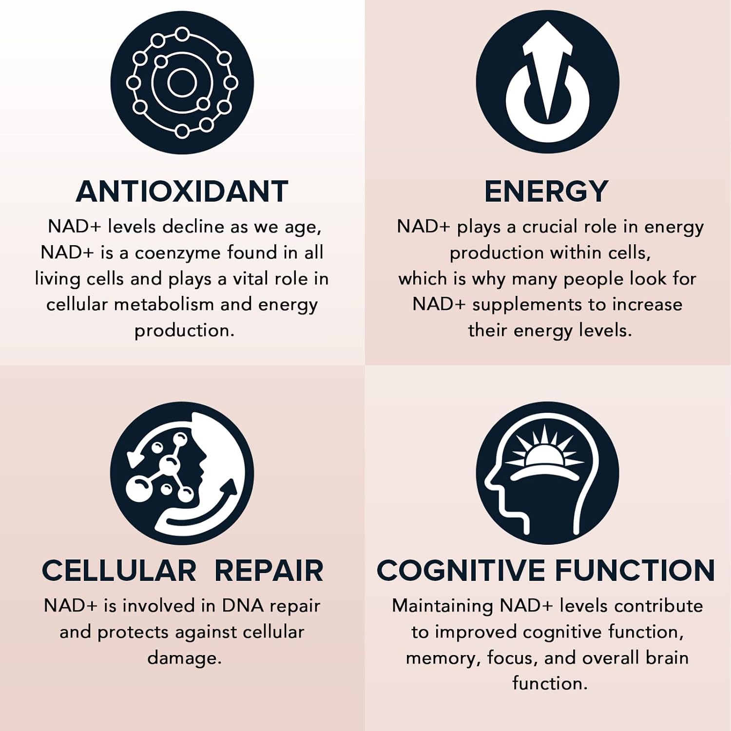 fabamax-liposomal-nad-supplement-1600mg---98-pure-nad-for-aging-defense-energy---high-absorption-alternative-to-nadh---60-softgels-for-longevity-vitality-5