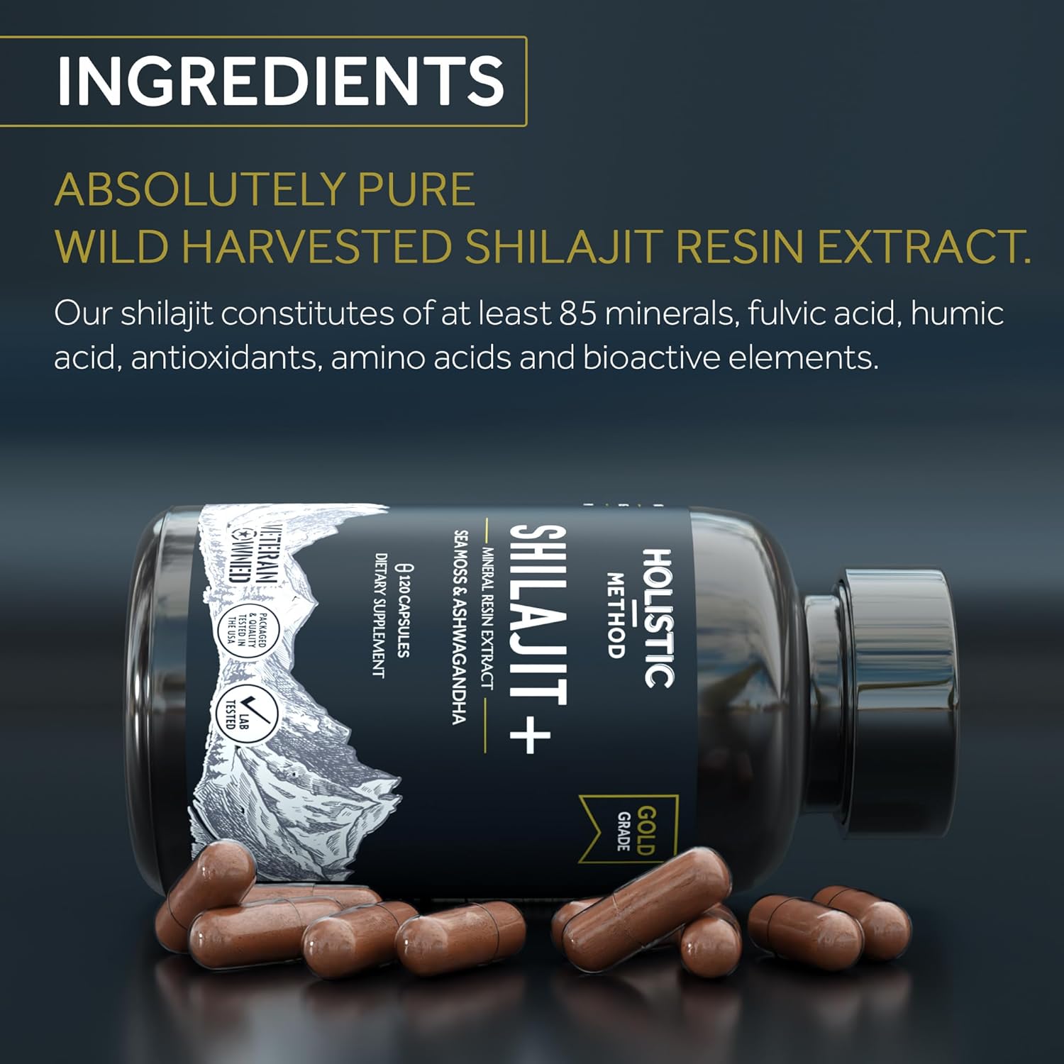 high-potency-himalayan-shilajit-capsules-with-sea-moss-ashwagandha---10000mg-pure-shilajit-resin-supplement-for-men-and-women-120-count-2