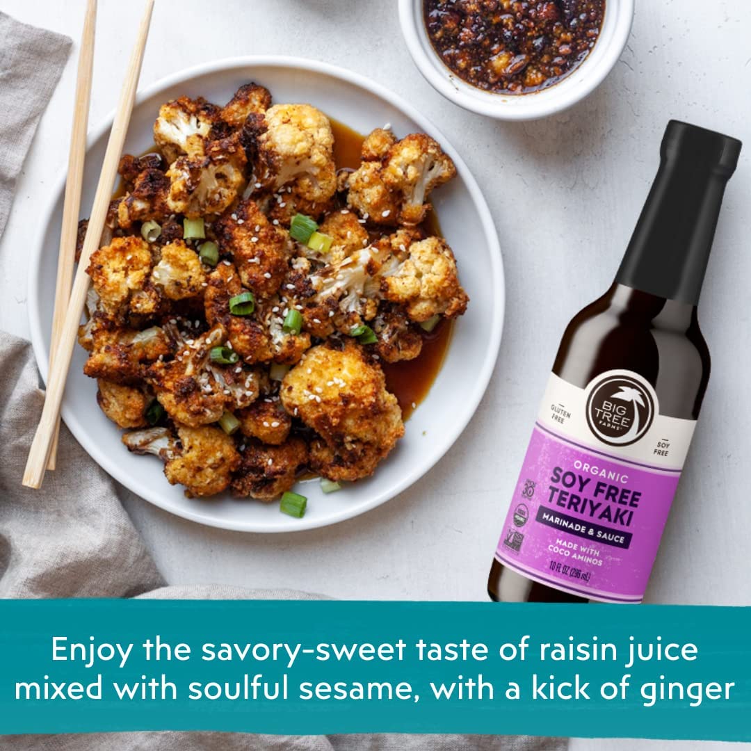 organic-coco-aminos-teriyaki-sauce---soy-free-low-sodium-gluten-free-kosher-non-gmo-liquid-coconut-aminos-marinade---10-fl-oz-pack-of-2-3