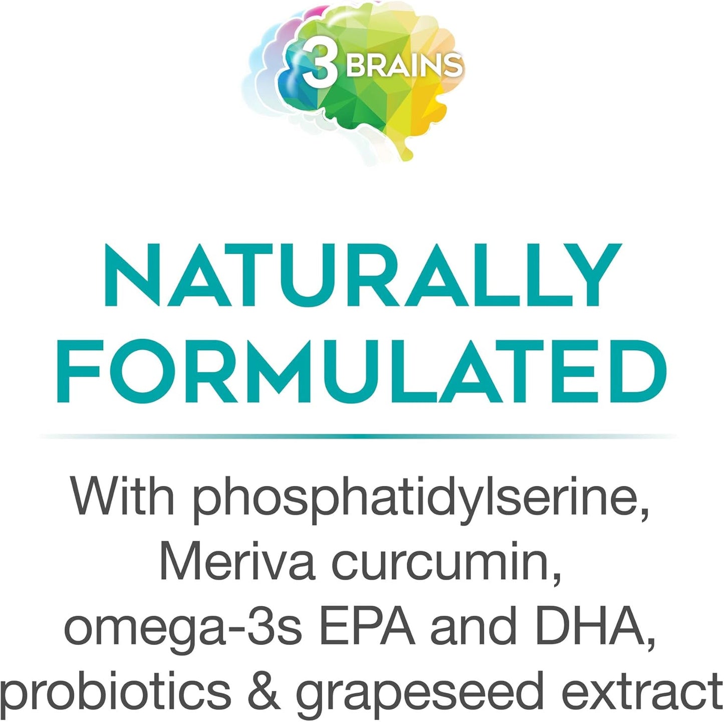 3-brains-total-kit-by-natural-factors---30-single-serve-packs-30-servings-5