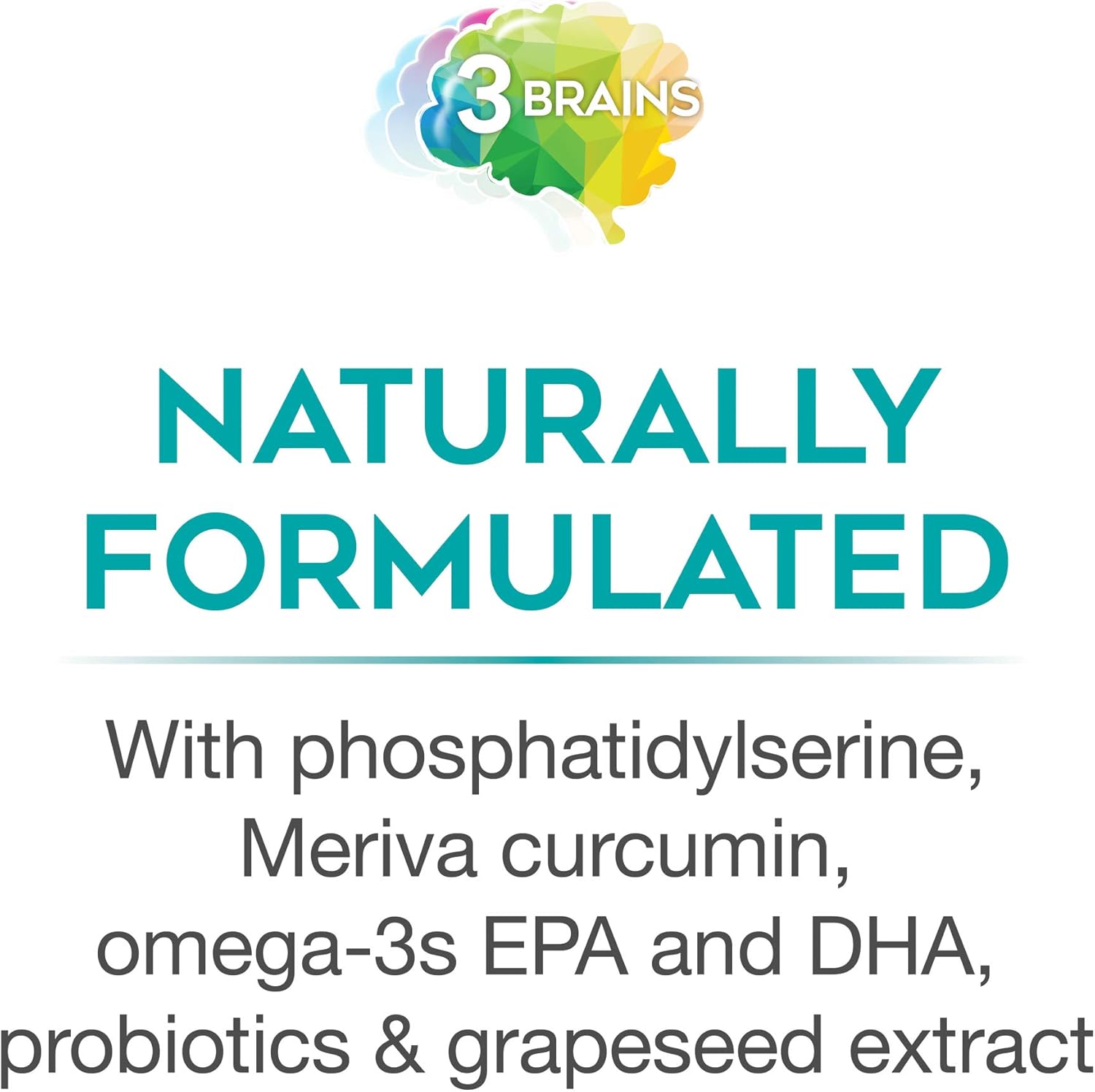3-brains-total-kit-by-natural-factors---30-single-serve-packs-30-servings-5