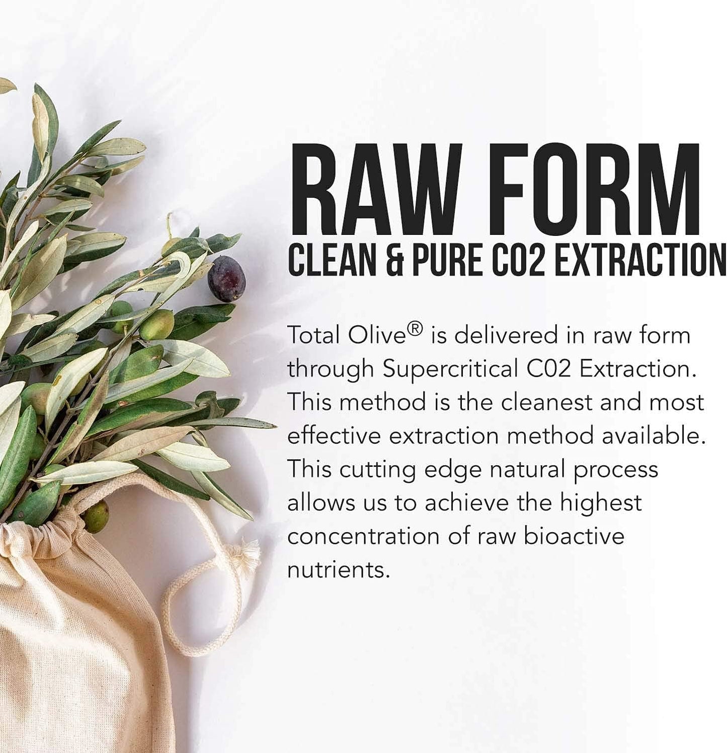 Triquetra Health Total Olive® - Spanish Grown Full Spectrum Olive Leaf & Fruit Extracts with BioPerine - High Oleuropein & Hydroxytyrosol - 60 Capsules - Espot.com.au