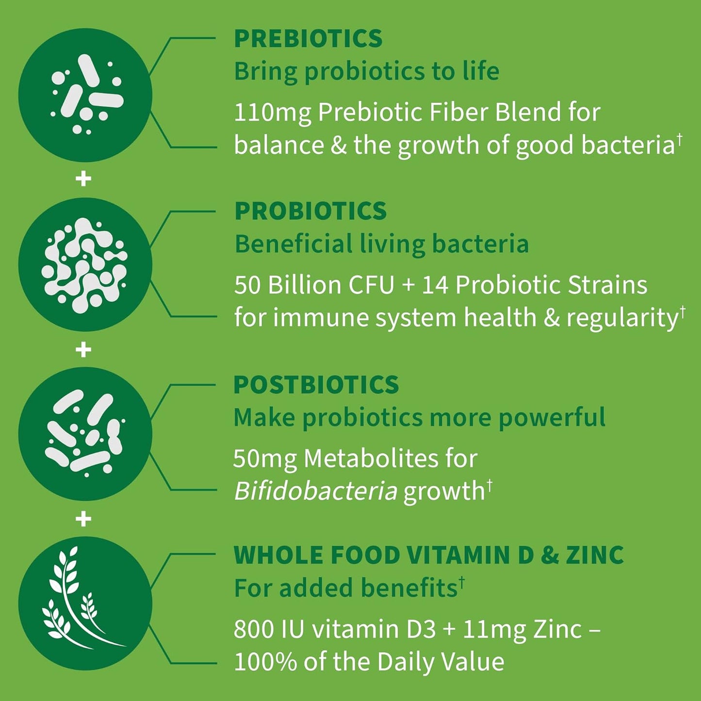 30-day-immune-support-garden-of-life-probiotics-with-prebiotics-postbiotics-d3-zinc-for-gut-digestive-health-4