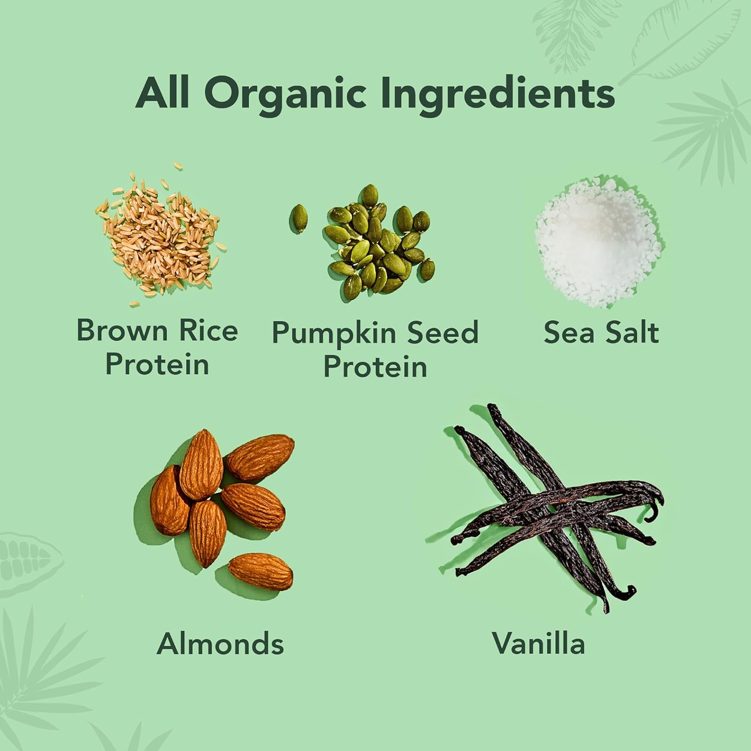 Organic Plant-Based Protein Bars, Vanilla Almond Crunch Flavor, 1.98 oz Bars, Pack of 12 - ALOHA - Espot.com.au