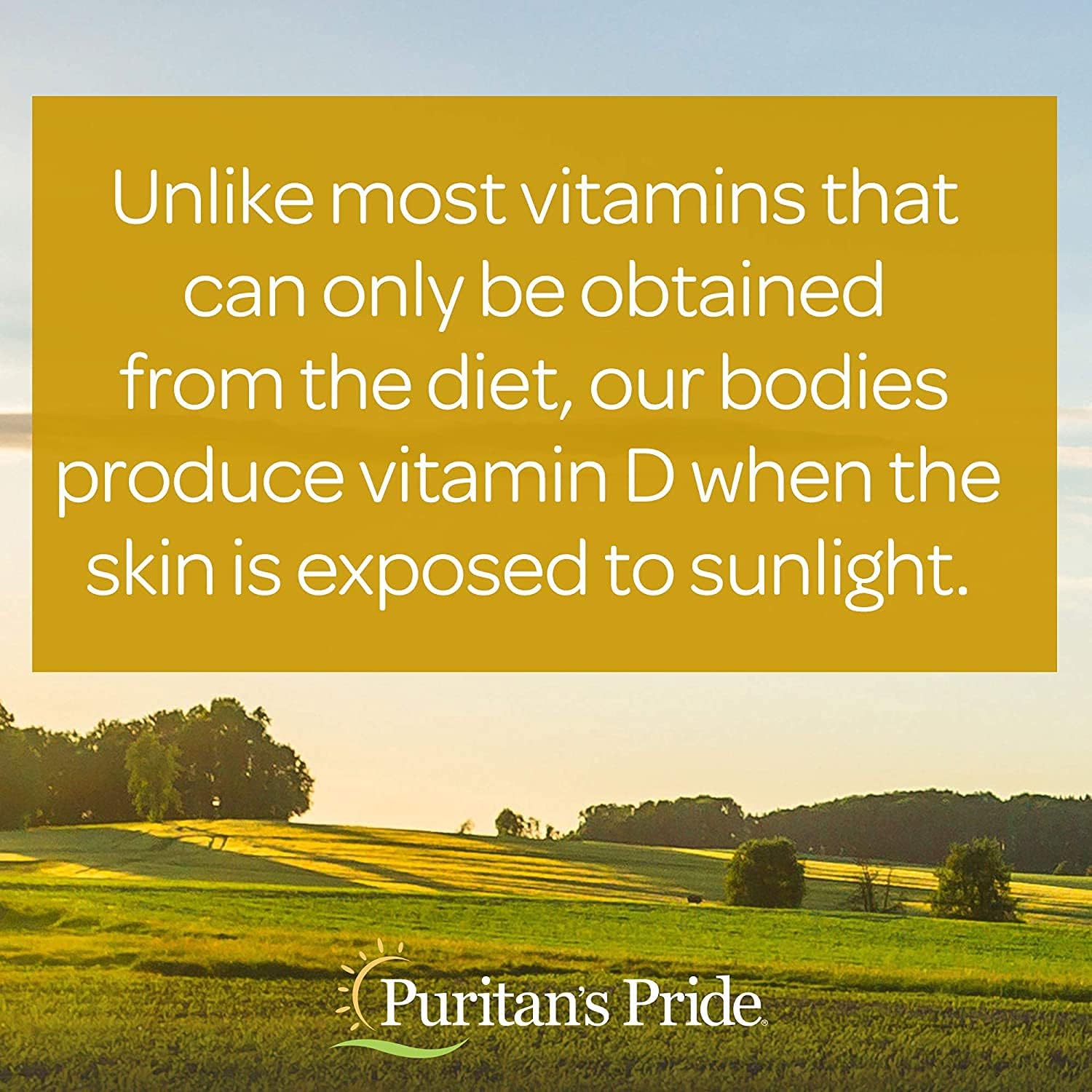 puritans-pride-vitamin-d3-10000-iu-twin-pack---200-softgels-high-potency-supplement-for-immune-support-5