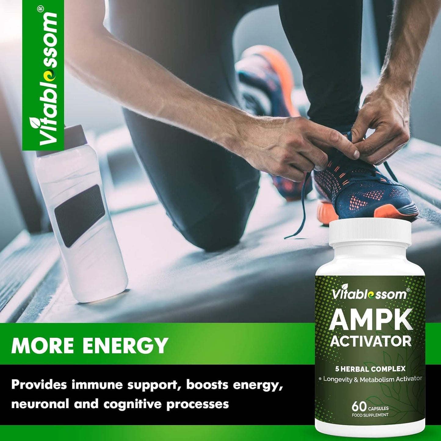 vitablosom-ampk-metabolic-activator-supplement---5-in-1-jiaogulan-gynostemma---240-vegetarian-capsules---pack-of-2-5