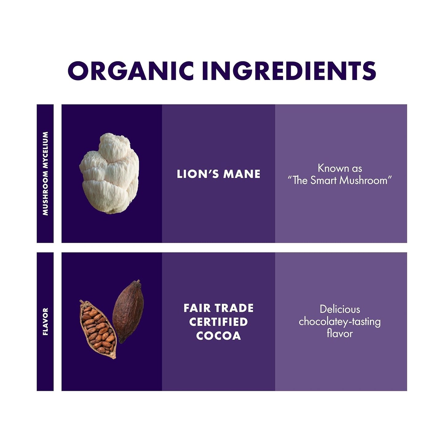 host-defense-mycobrew-cocoa-superfood-powder-drink-mix-with-lions-mane-mushroom---10-packets-made-with-fair-trade-certified-cocoa-4