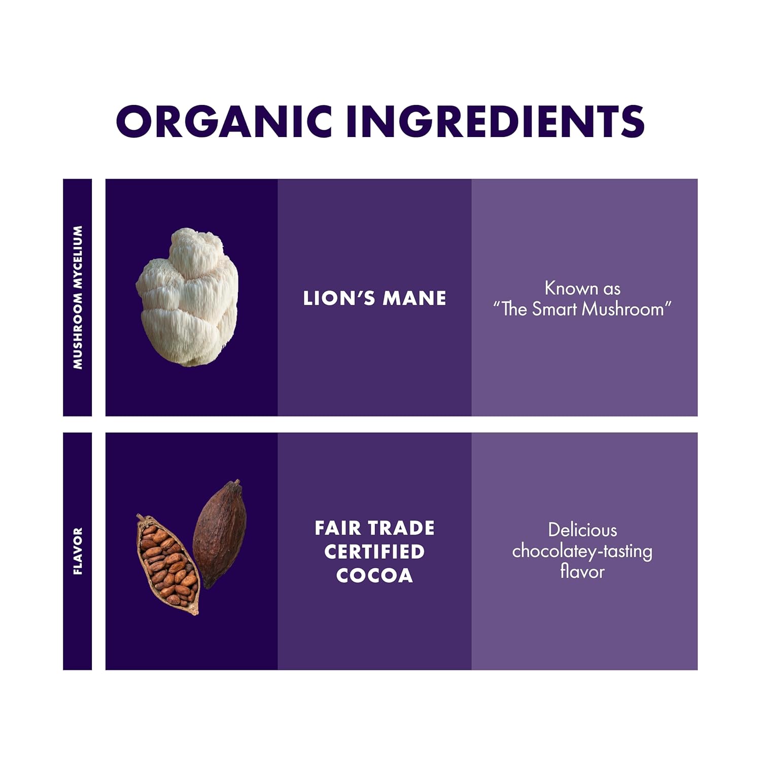 host-defense-mycobrew-cocoa-superfood-powder-drink-mix-with-lions-mane-mushroom---10-packets-made-with-fair-trade-certified-cocoa-4