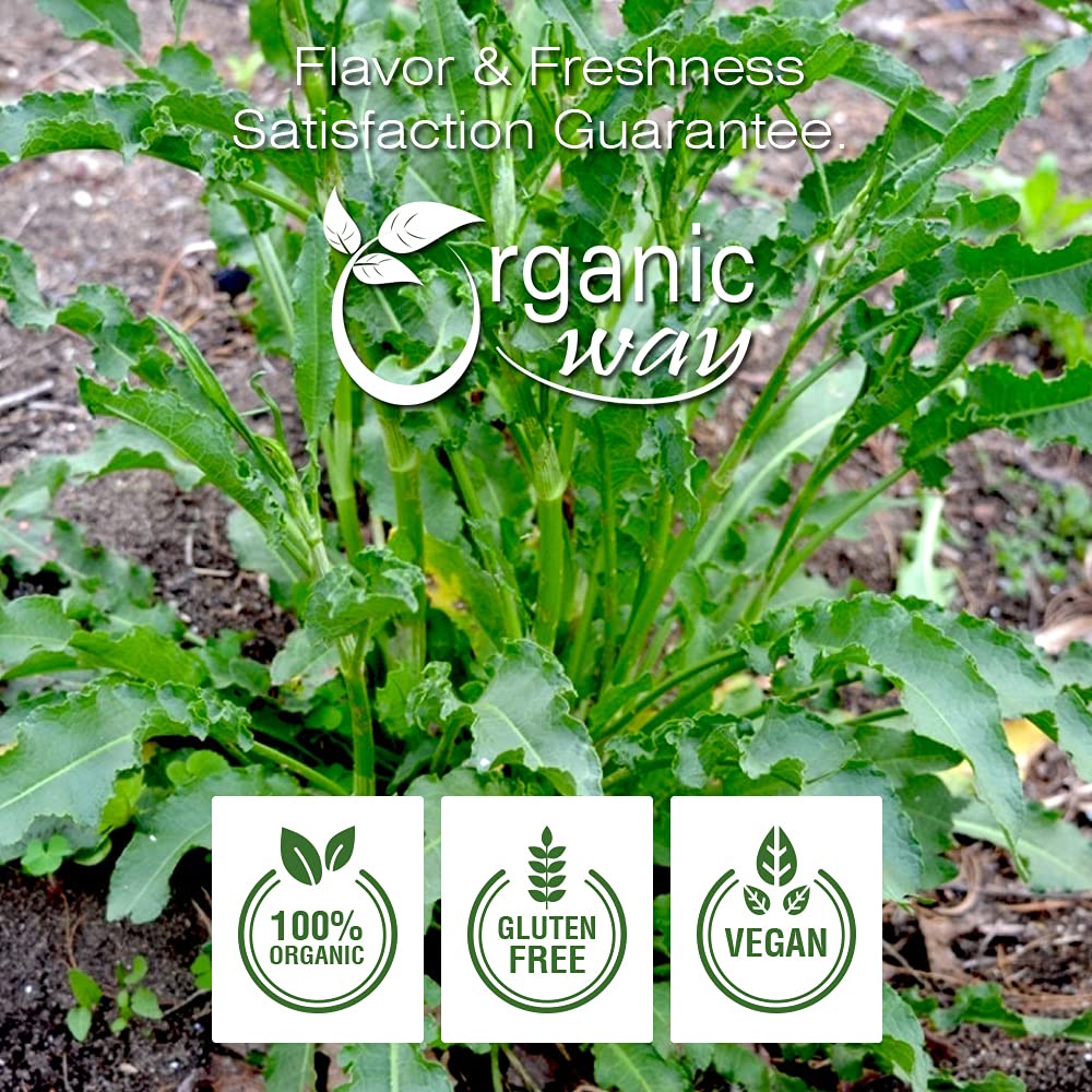 european-wild-harvest-yellow-dock-root-cut-sifted---organic-kosher-certified-from-albania---vegan-non-gmo-gluten-free---usda-certified-1lb-4