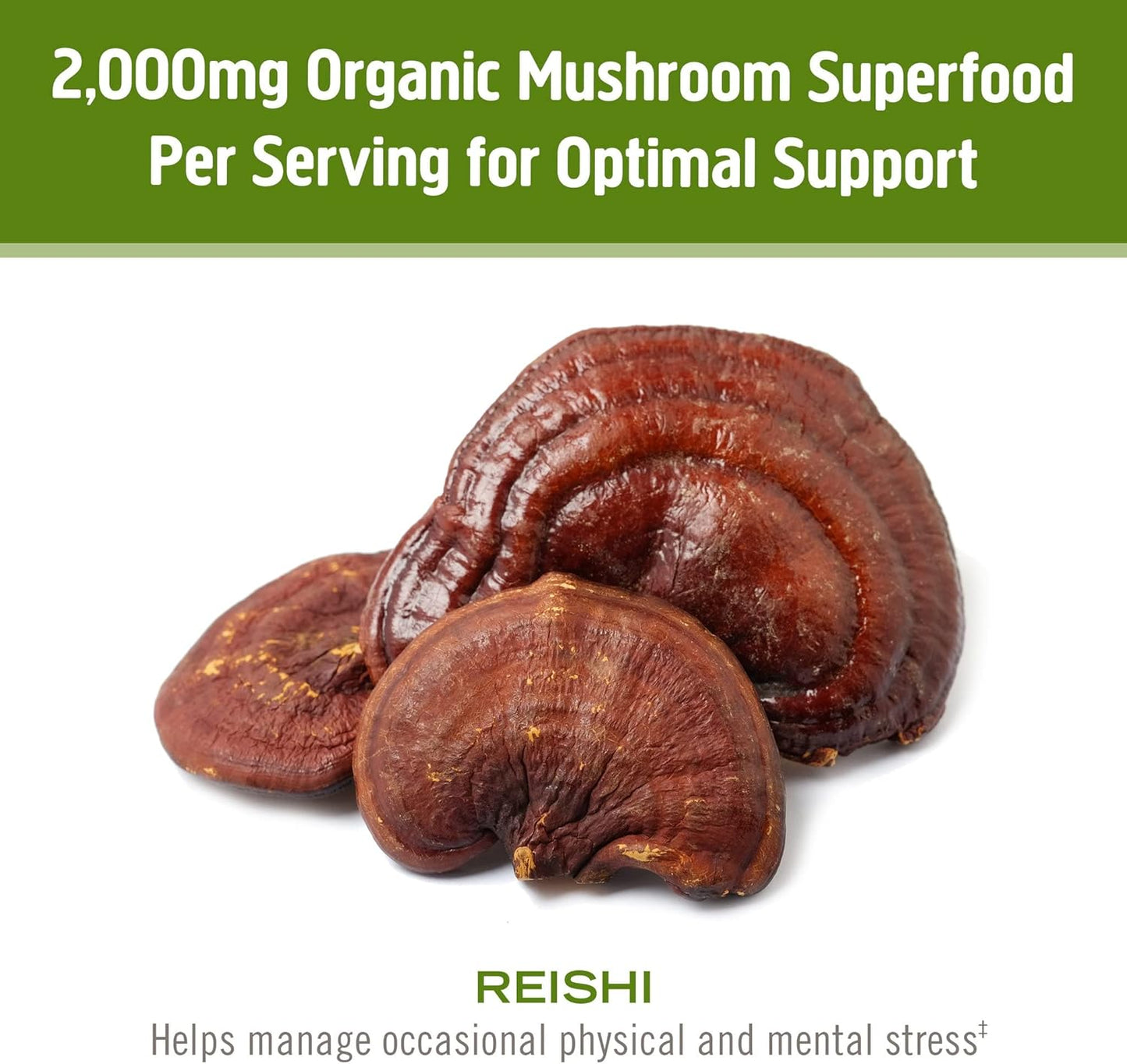 Organic Lion's Mane & Reishi Mushroom Powder Bundle - 7.05oz, 200 Servings - Espot.com.au